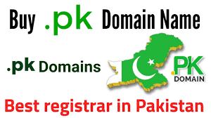 Why Choosing a .pk Domain is the Best Decision for Your Online Business: A Step-by-Step Guide