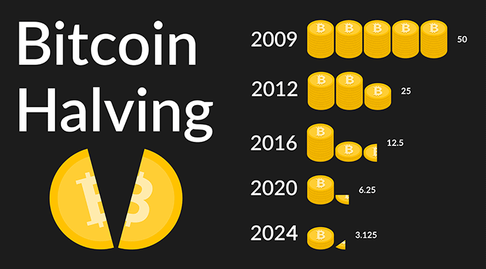 Bitcoin Halving 2024